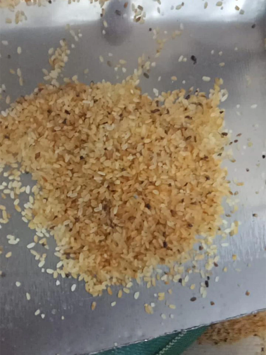 M/S India Food Processing - Discoloured Rejected Rice