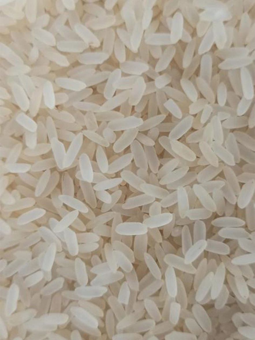 M/S India Food Processing - Parboiled Rice