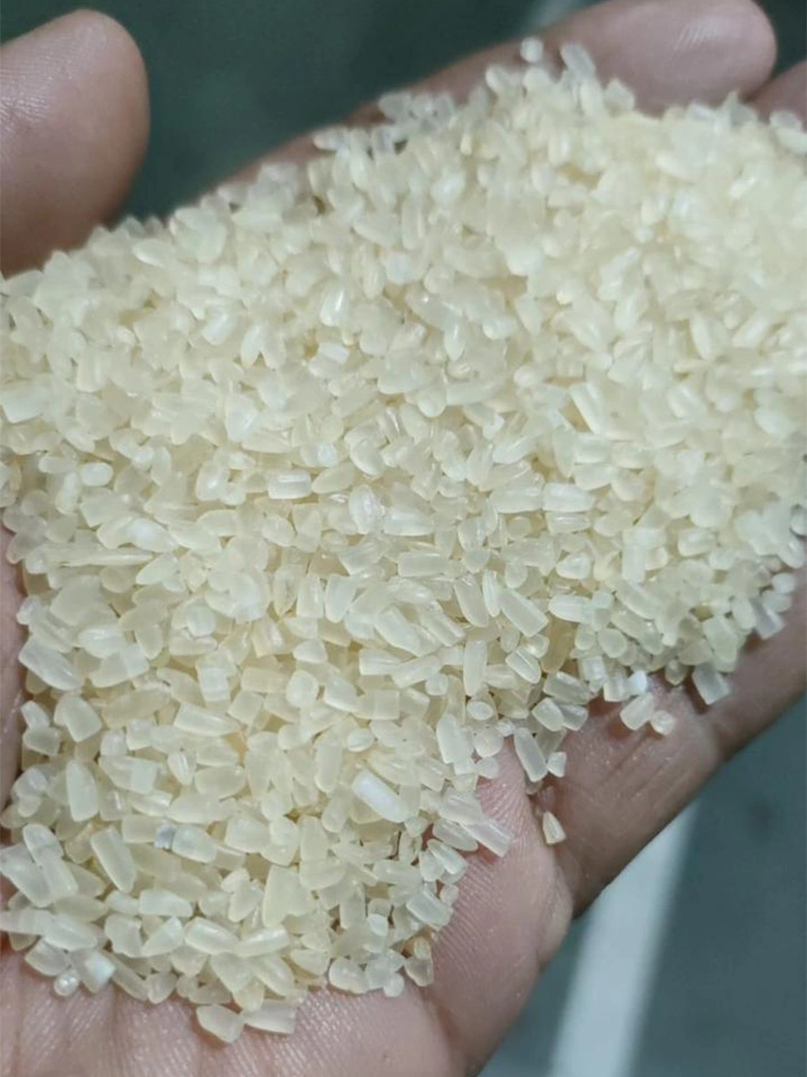 M/S India Food Processing - Parboiled Sortex Clean Broken Rice For Human, Cattles and