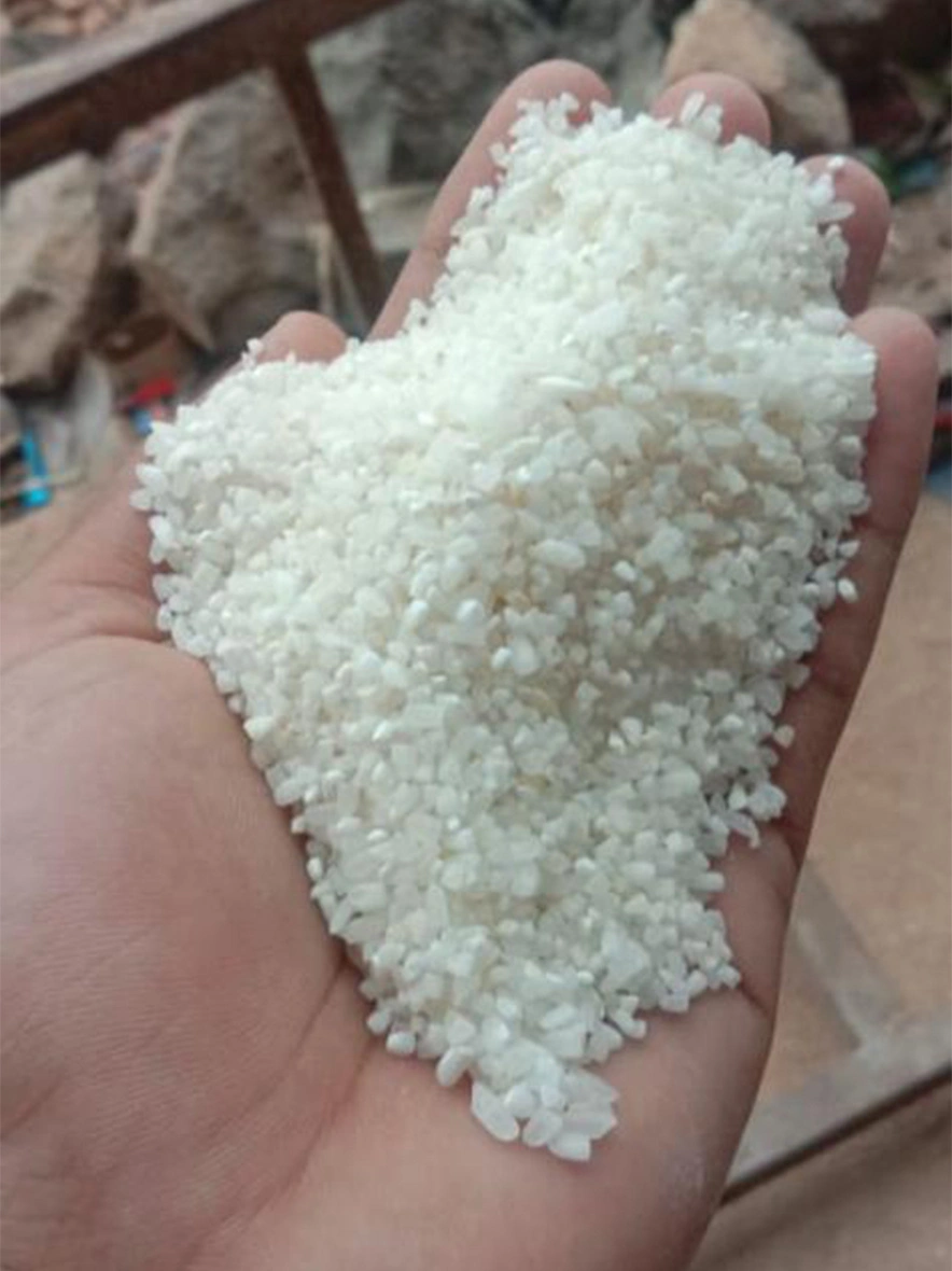 M/S India Food Processing - Raw Broken Rice For Human Consumption and Ethanol