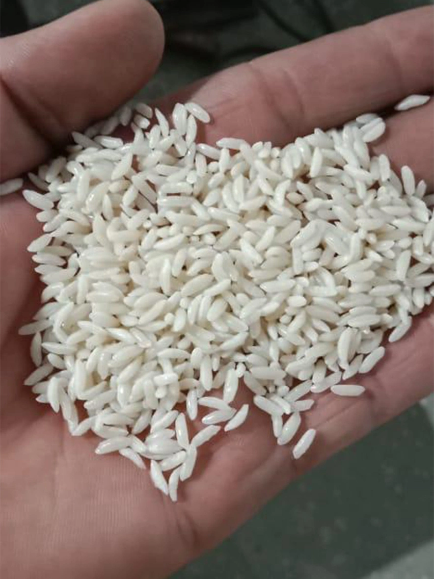 M/S India Food Processing - Raw Rice