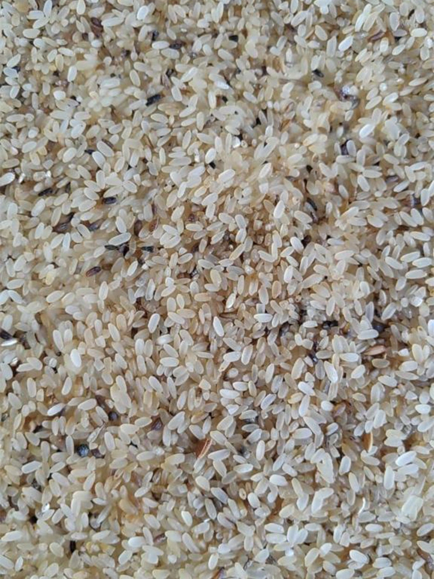 M/S India Food Processing - Fine Quality Discoloured Rice And Cattle