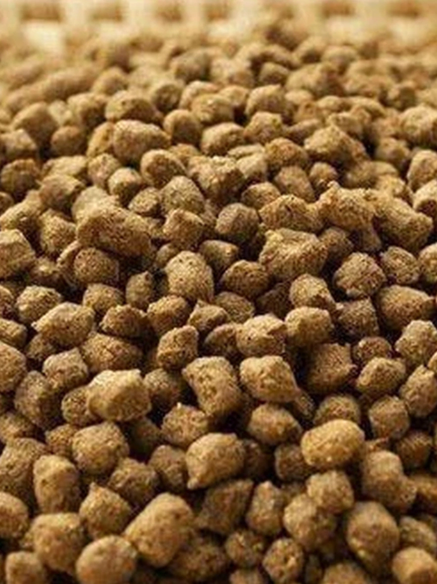 M/S India Food Processing - Fish Feed