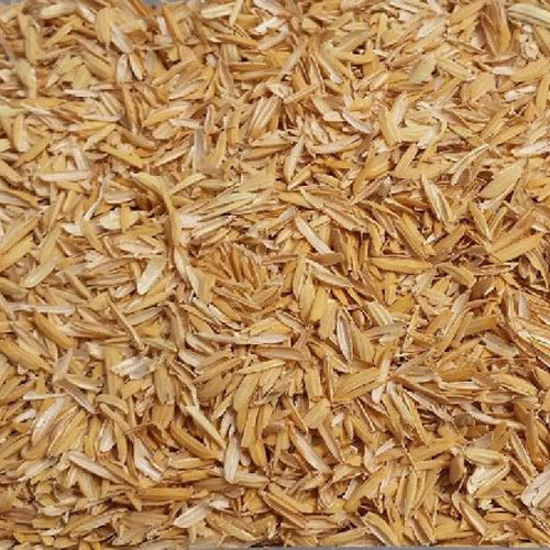 M/S India Food Processing - Rice Husk