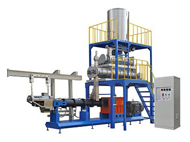 Twin Screw Extruder