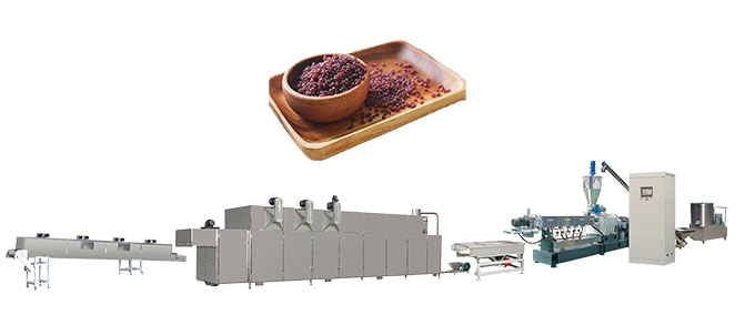 Fortified Nutritional Rice Processing Line