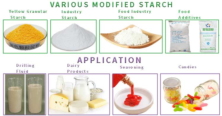 Modified Starch and Nutrition Powder Processing Line